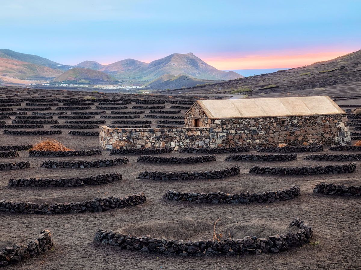 Barren vineyard in the Canary Islands with mountains and sea in the distance