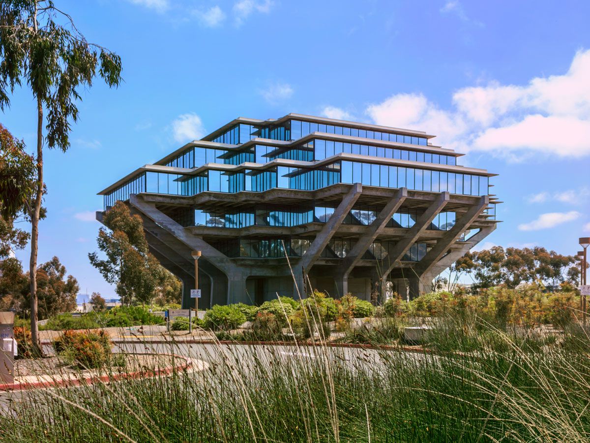 La Jolla's Brutalist Geisel Library framed by foliage