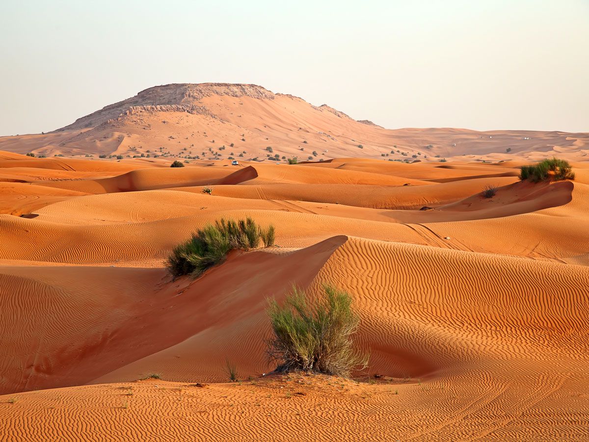 Sand dunes in the Arabian Desert