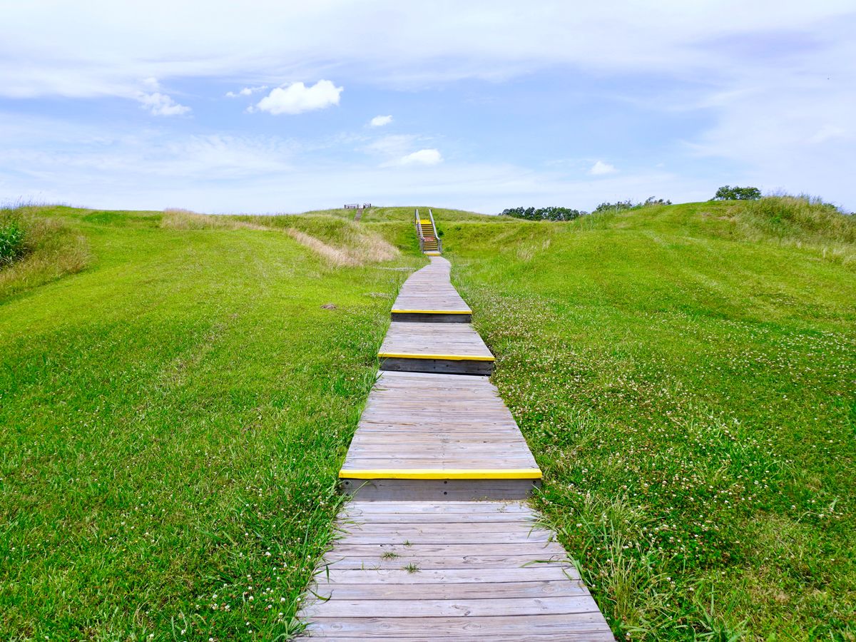 Wooden pathway on grassy hill leading to Monumental Earthworks of Poverty Point in Louisiana