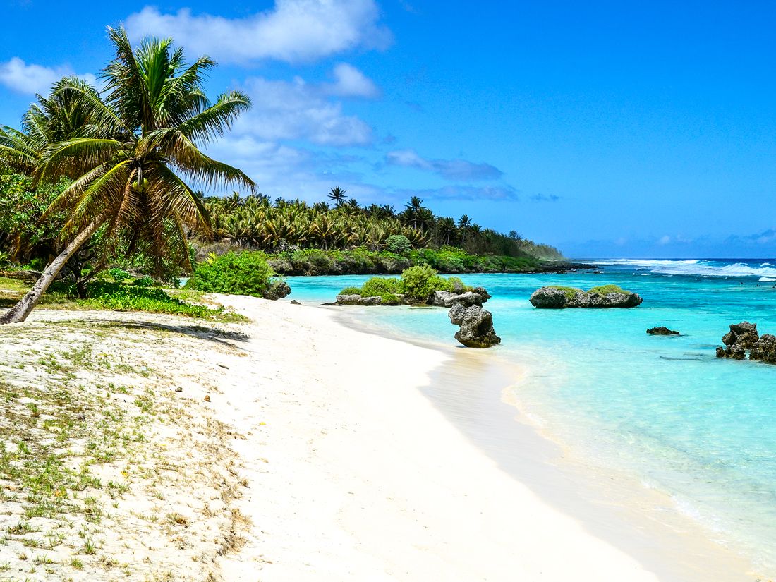 Sandy palm tree-lined beach in the Northern Mariana Islands