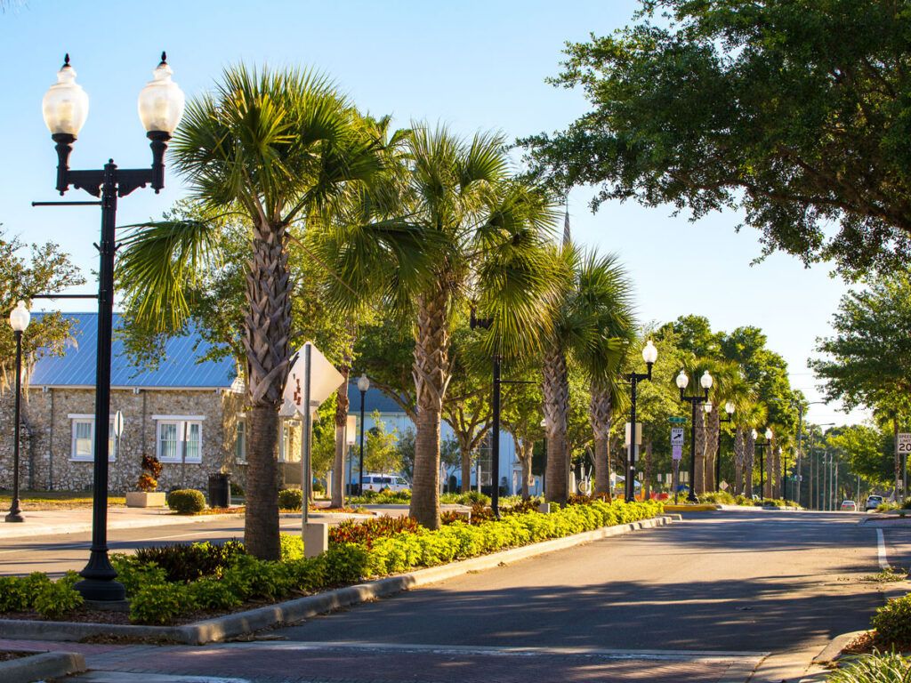 Palm tree-lined street in Zephyrhills, Florida