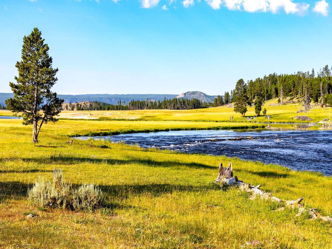 Landscape of Yellowstone National park today