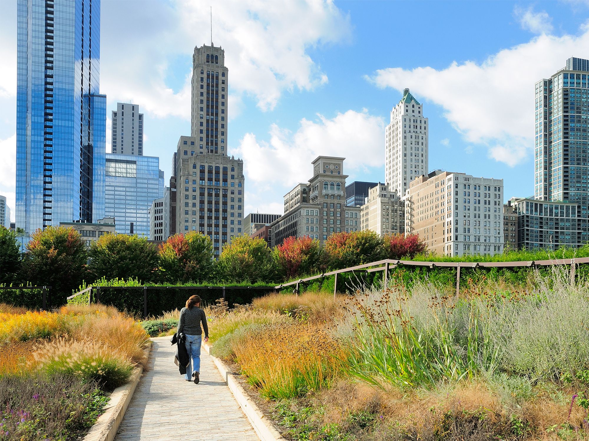 Person walking through Millennium Park in Chicago