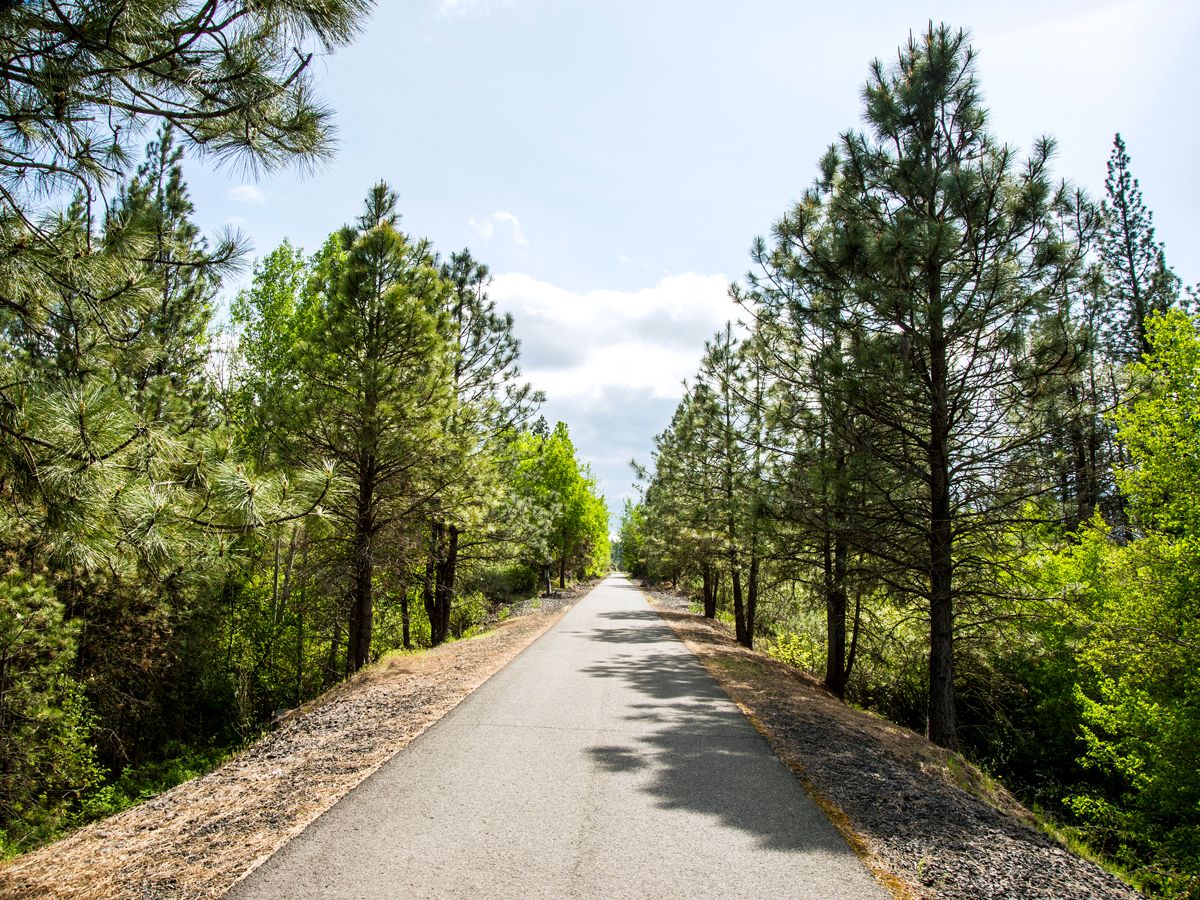 Paved path surrounded by trees along the Columbia Plateau Trail State Park in Washington