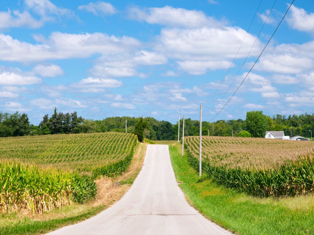 Rural road in Indiana