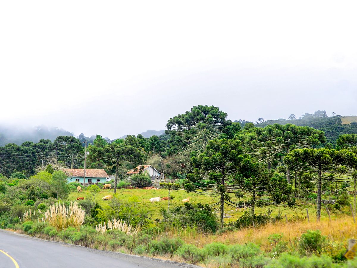Homes and fields of São Joaquim, Brazil, on cloudy day