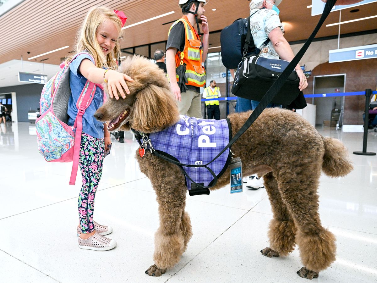 Child with backpack interacting with therapy dog in airport terminal