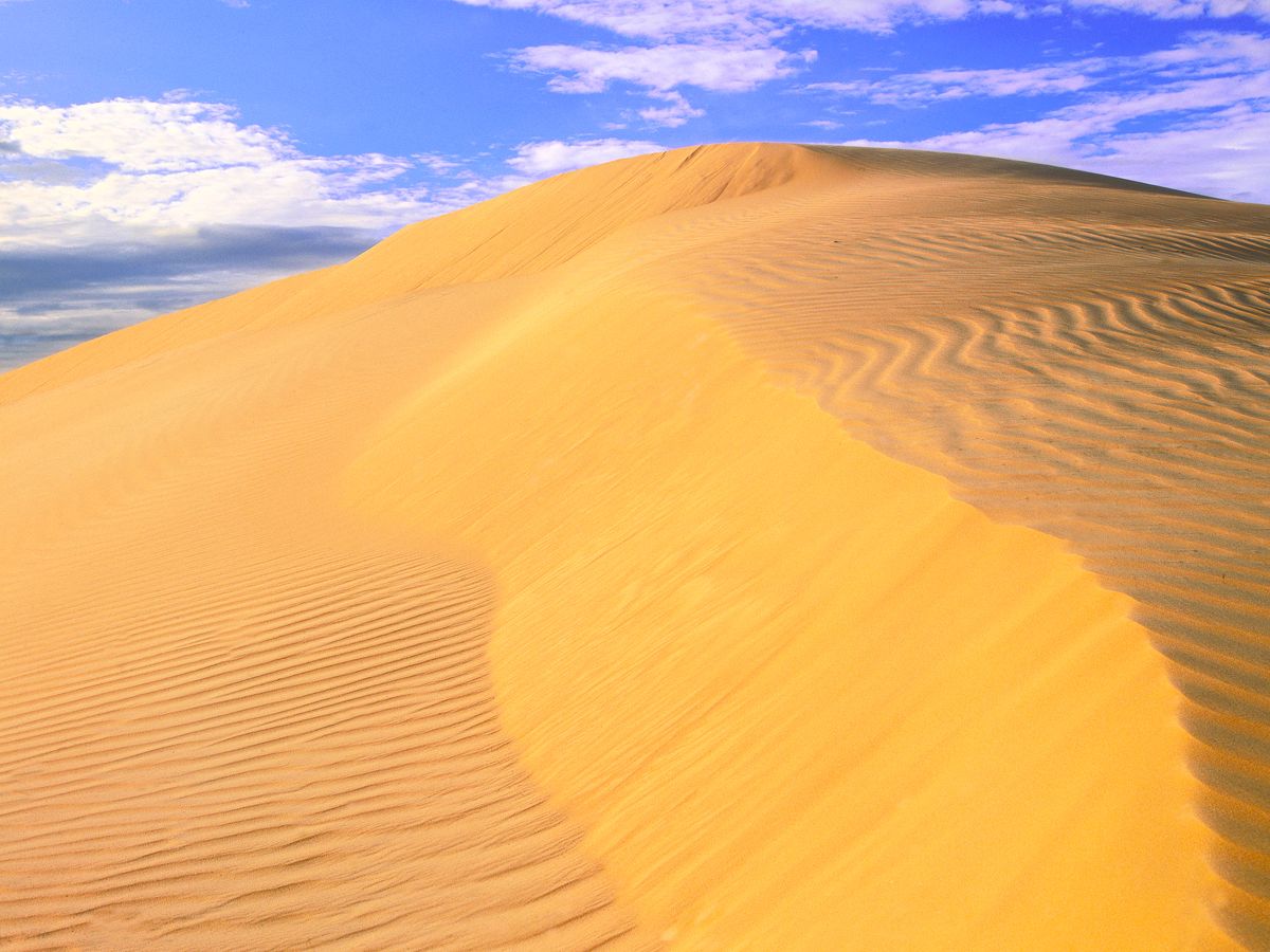 The Athabasca Sand Dunes of northern Canada
