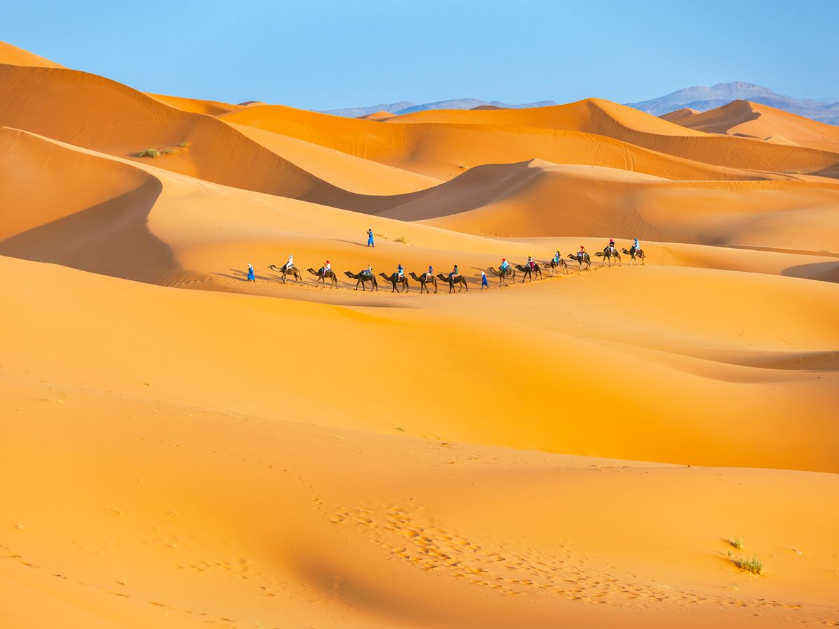 Camels carrying people walking across sand dunes in Morocco