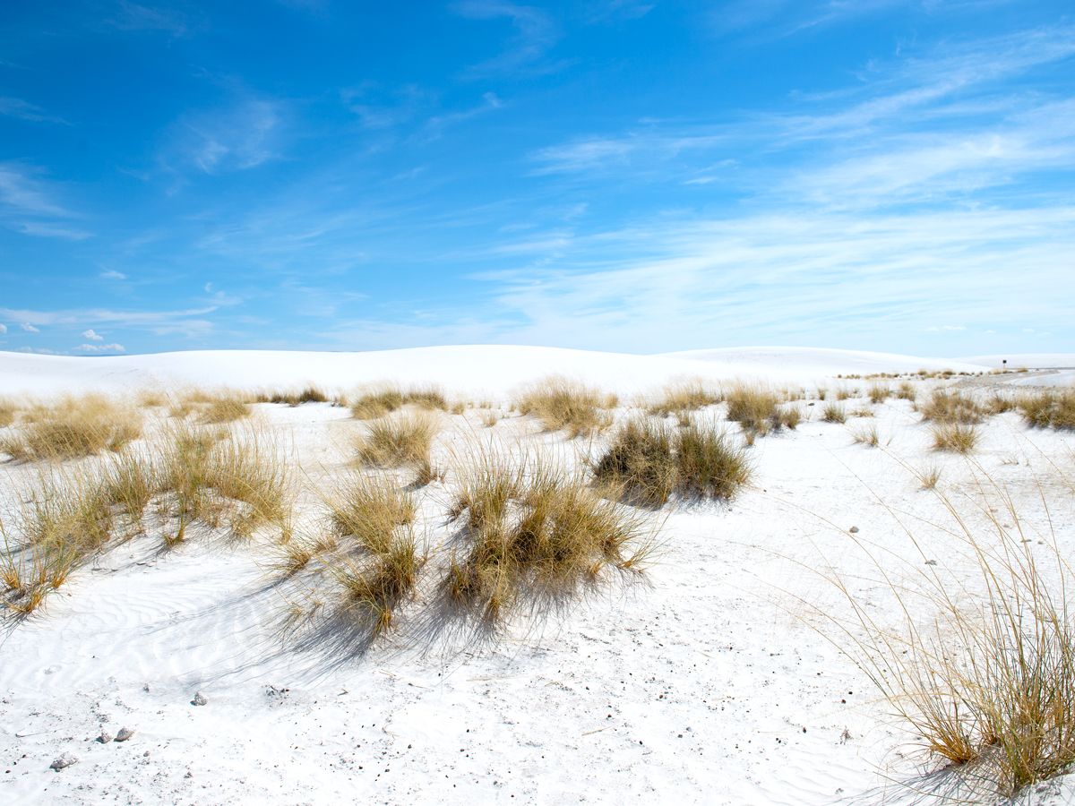 White sand dunes in New Mexico