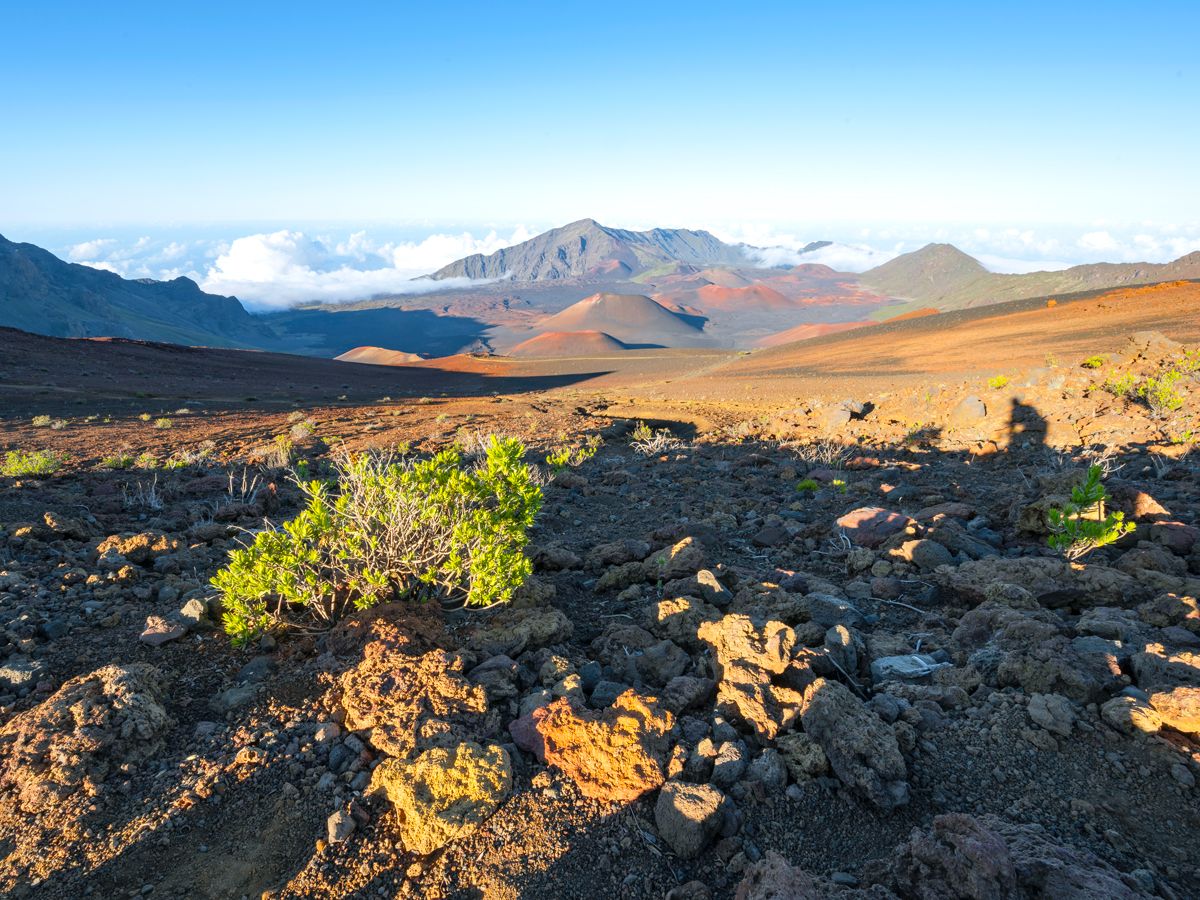 Volcanic landscapes of Haleakalā National Park in Hawaii