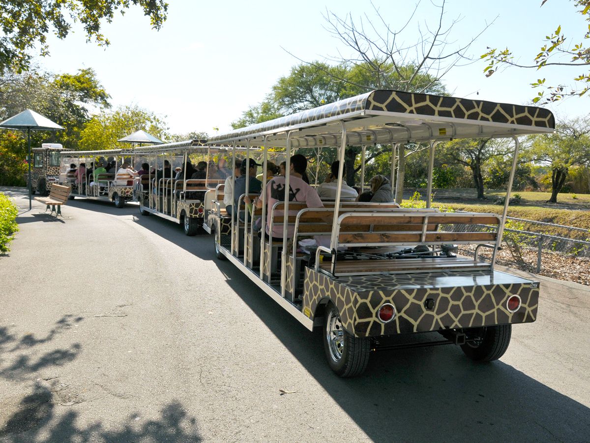 Tram filled with zoo goers at Zoo Miami in Florida