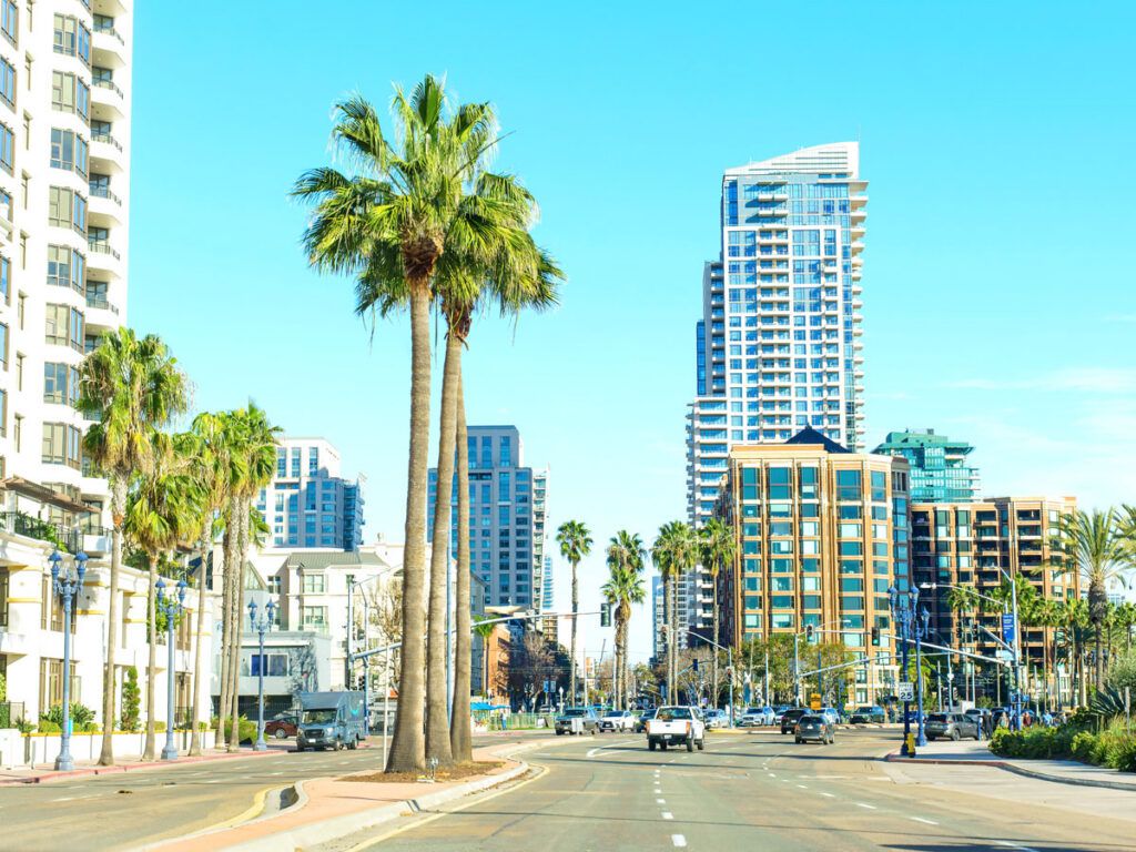 Palm trees and skyscrapers in San Diego, California