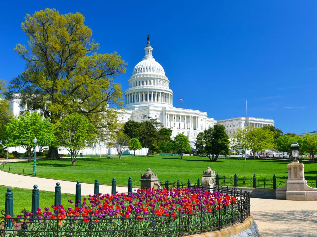 U.S. Capitol in Washington, D.C.