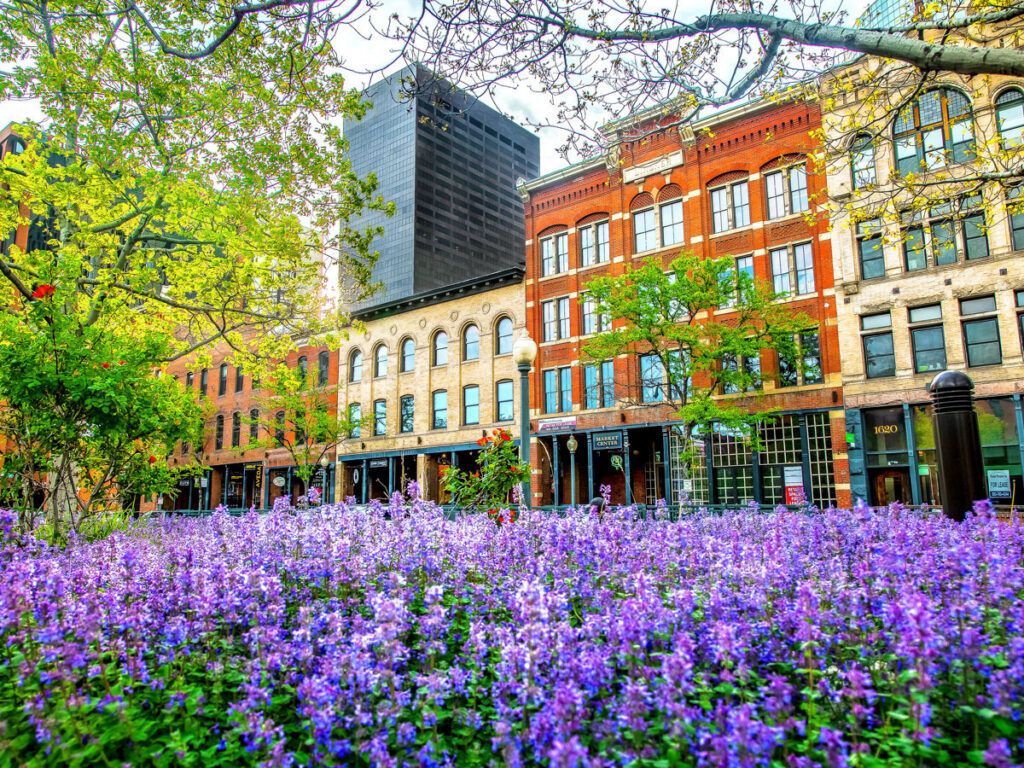 Flowers along Market Street in Denver, Colorado