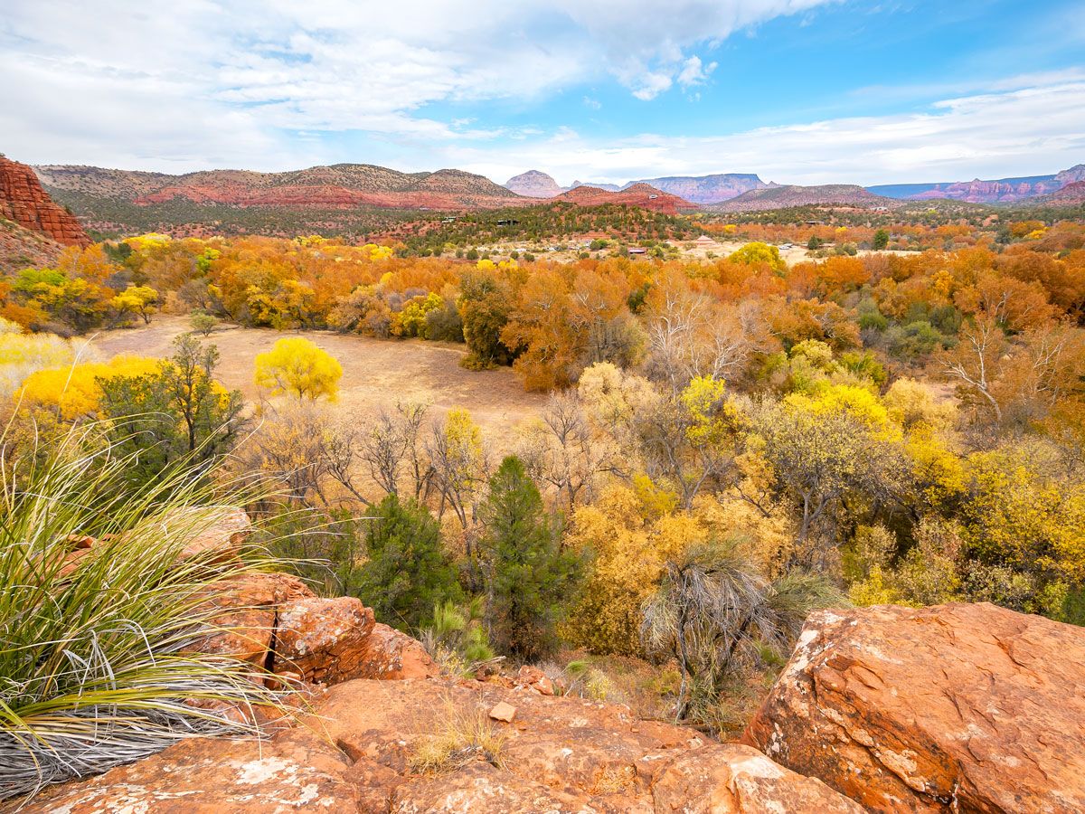 Autumn colors amid red-rock landscape of Sedona, Arizona