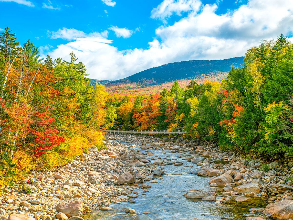 Fall foliage alongside river in Lincoln, New Hampshire