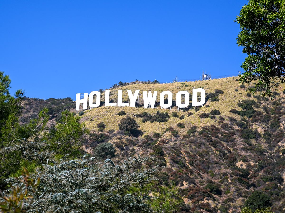 Hollywood sign surrounded by greenery