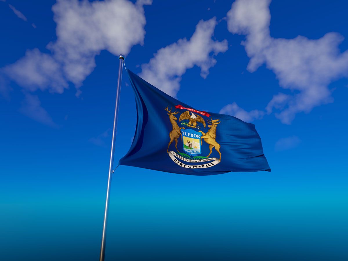 Michigan flag