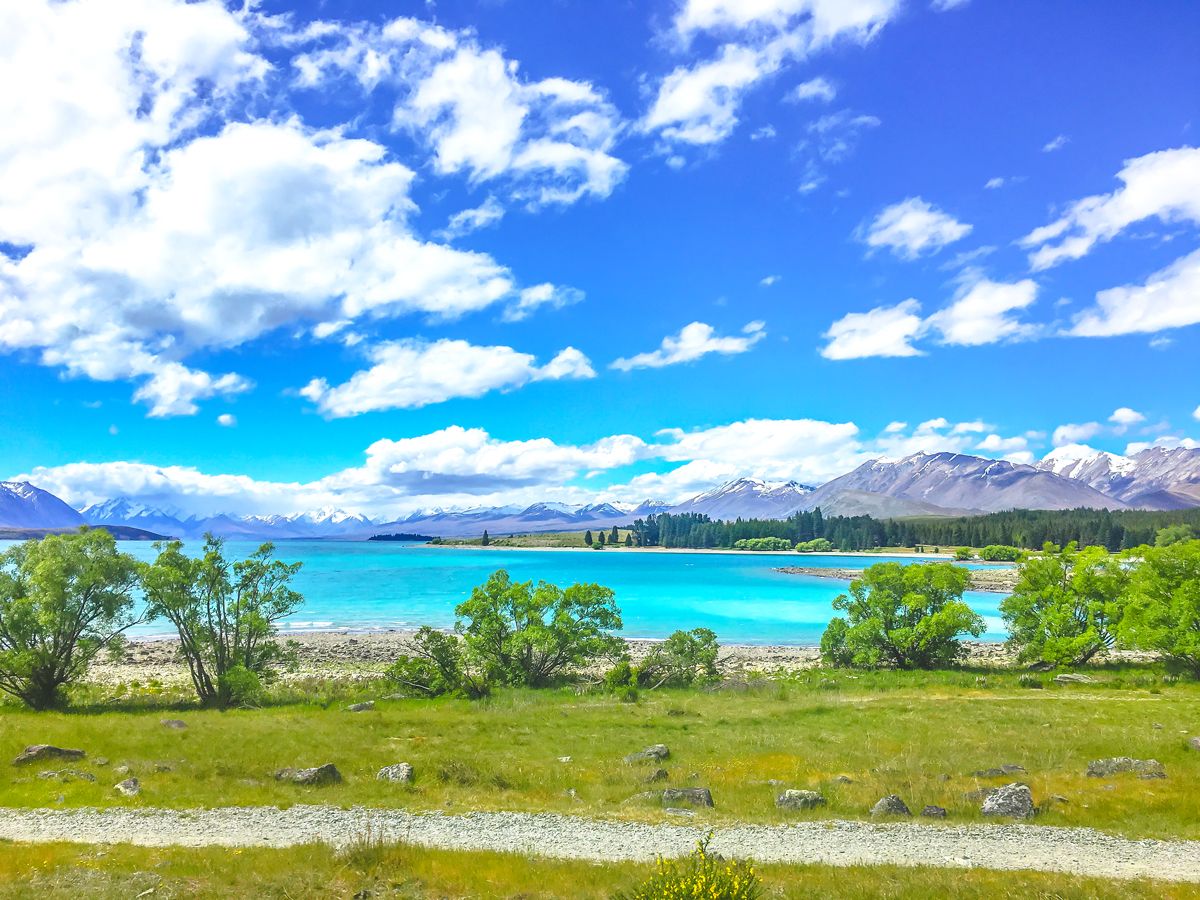 Shores of Lake Tekapo, New Zealand