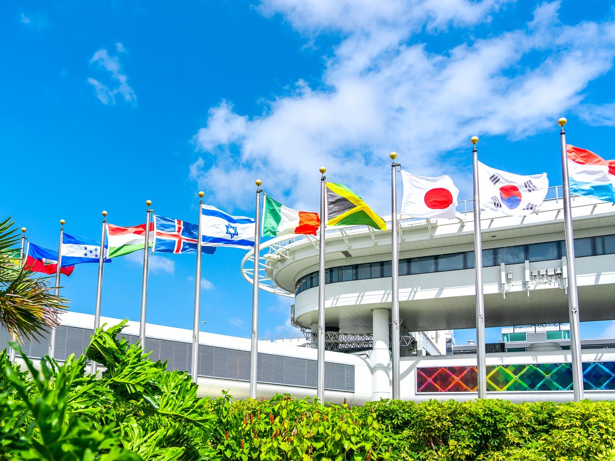 Flags flying outside Miami International Airport in Florida
