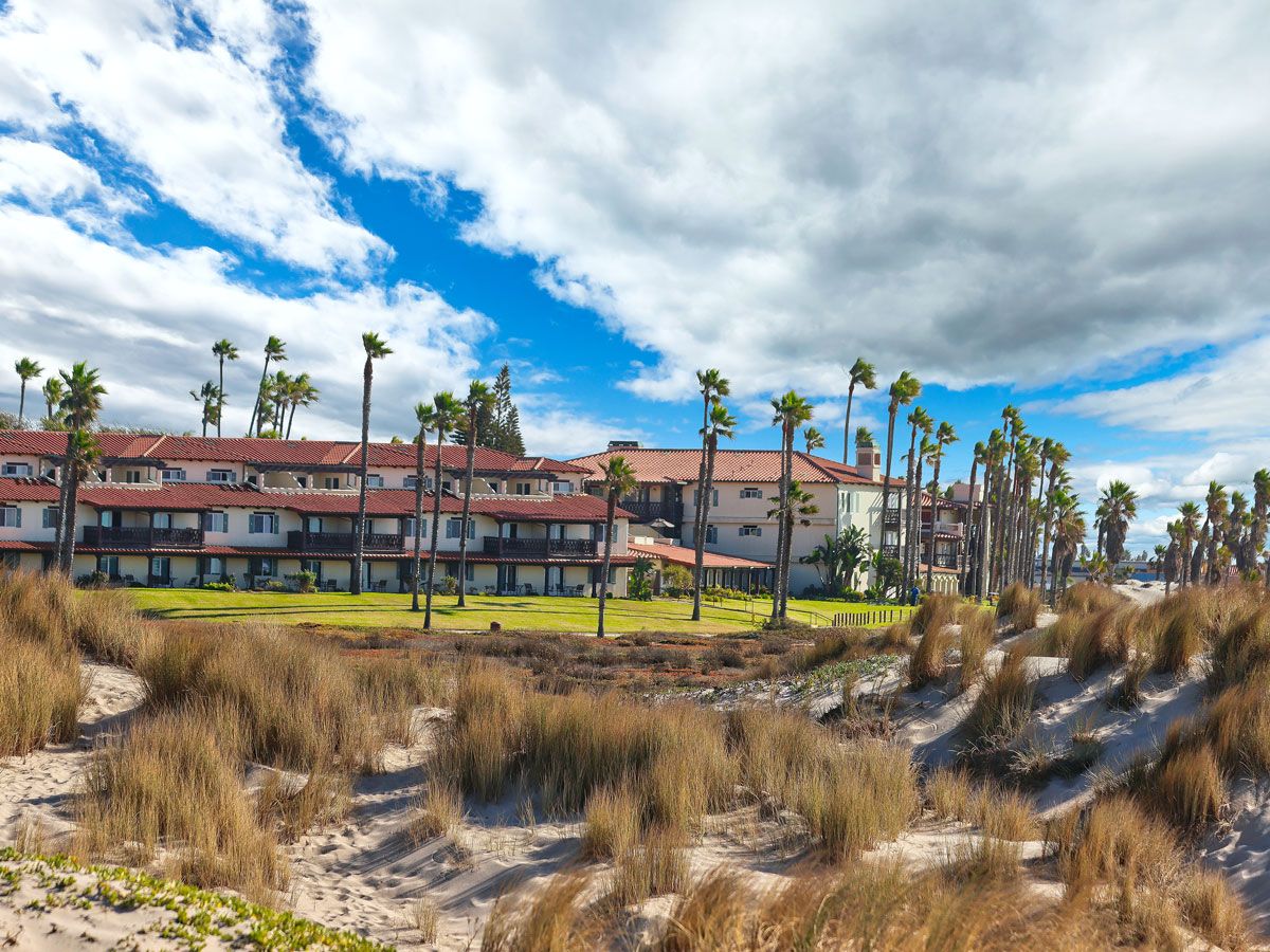 Palm trees and plants swaying in the wind in Oxnard, California