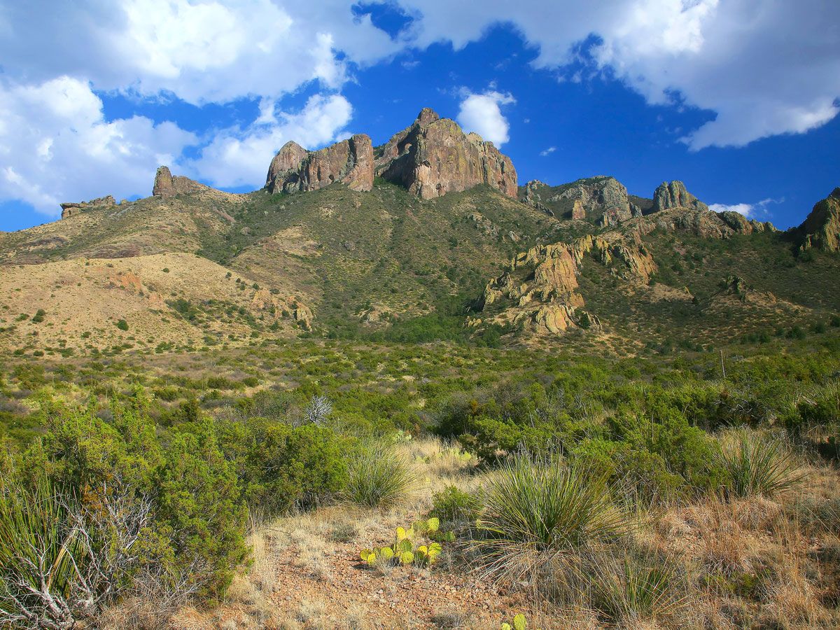 Mountainous landscape