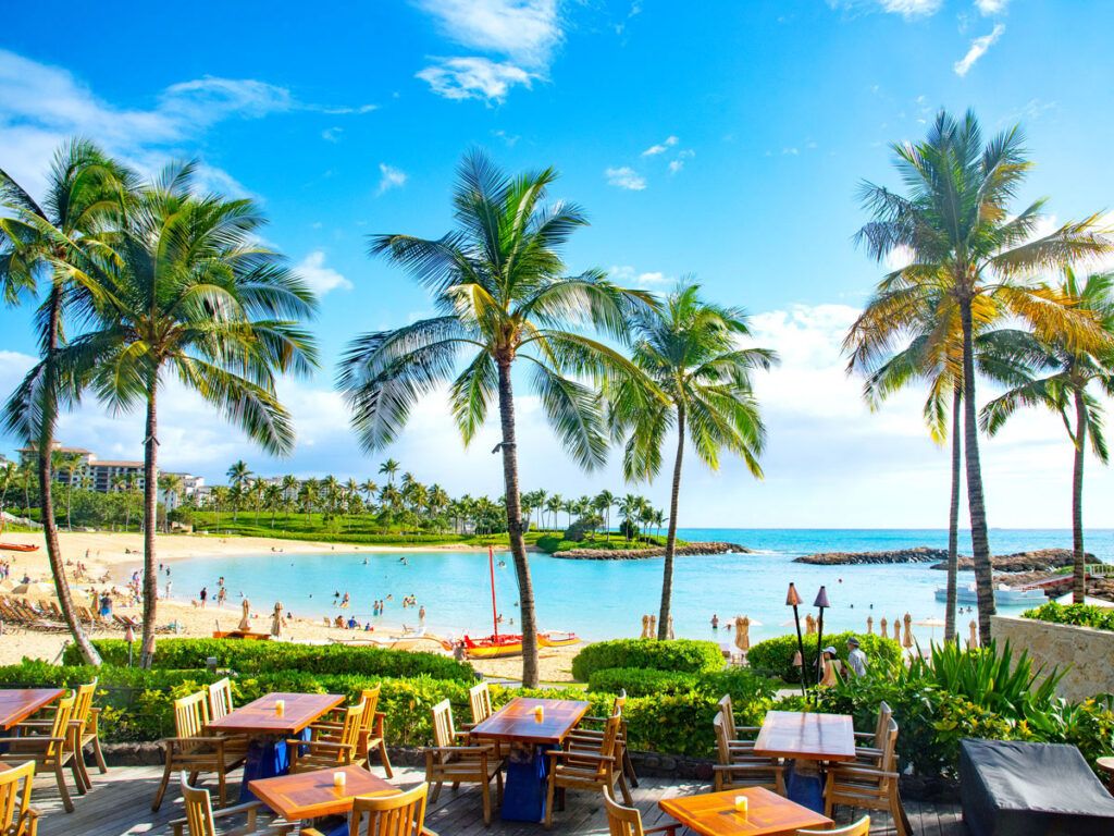 Beachfront tales and palm trees in Honolulu, Hawaii