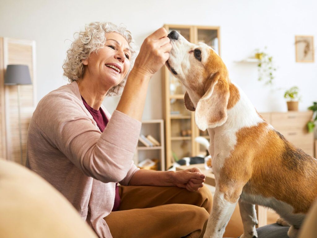 Woman on sofa giving dog a treat