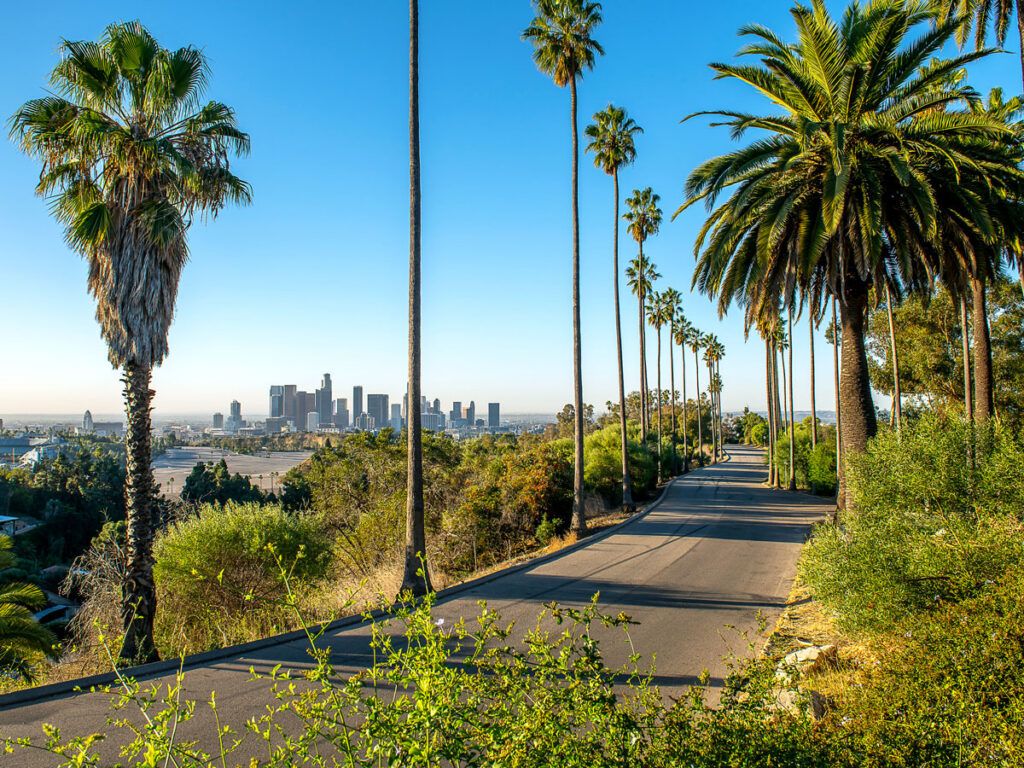 Palm tree-lined street overlooking downtown L.A.