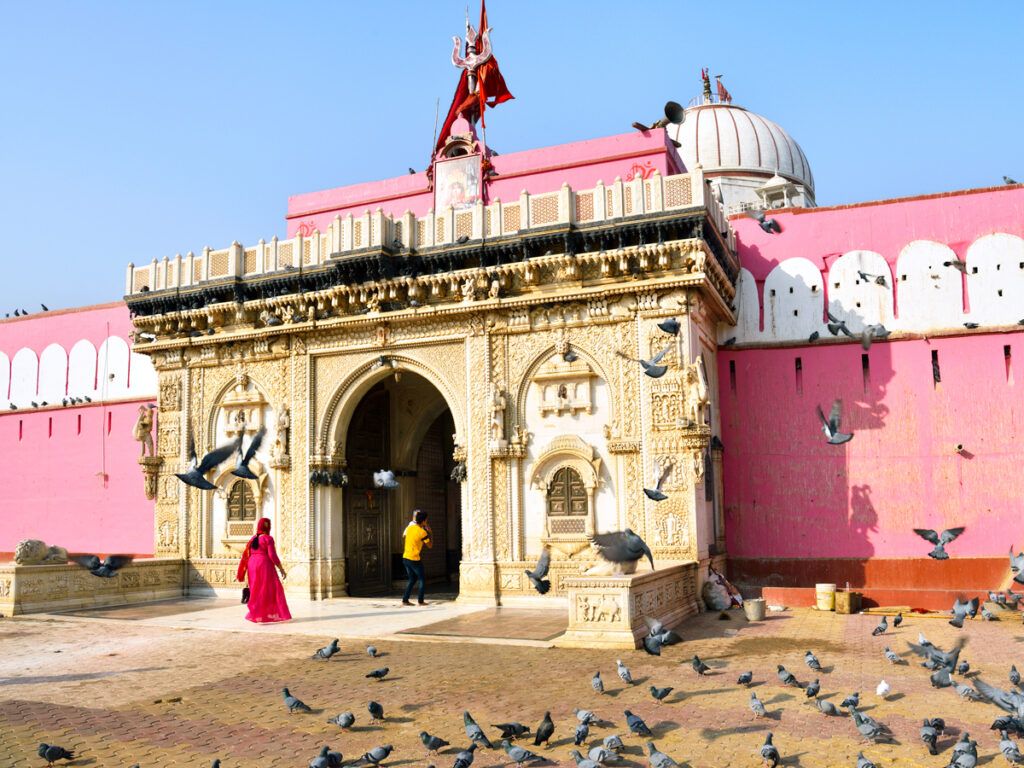 Pigeons outside Karni Mata Temple