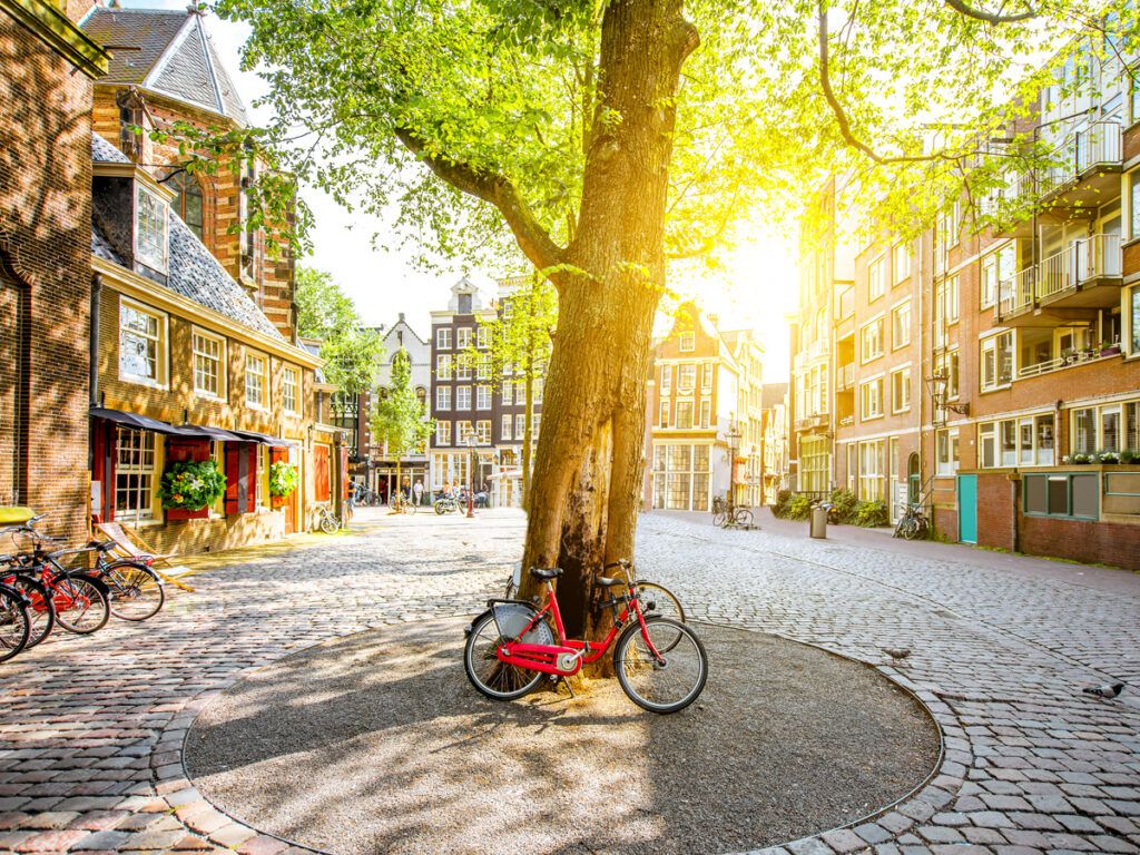 Bike parked under tree in courtyard in Amsterdam
