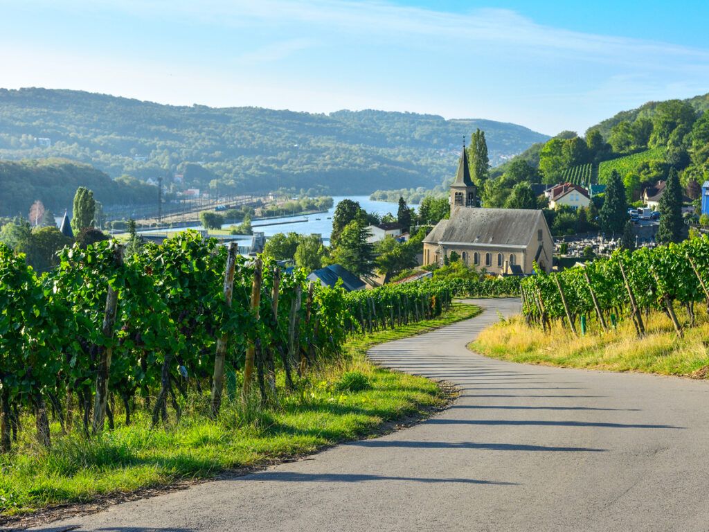 Road winding through vineyard overlooking river in Luxembourg