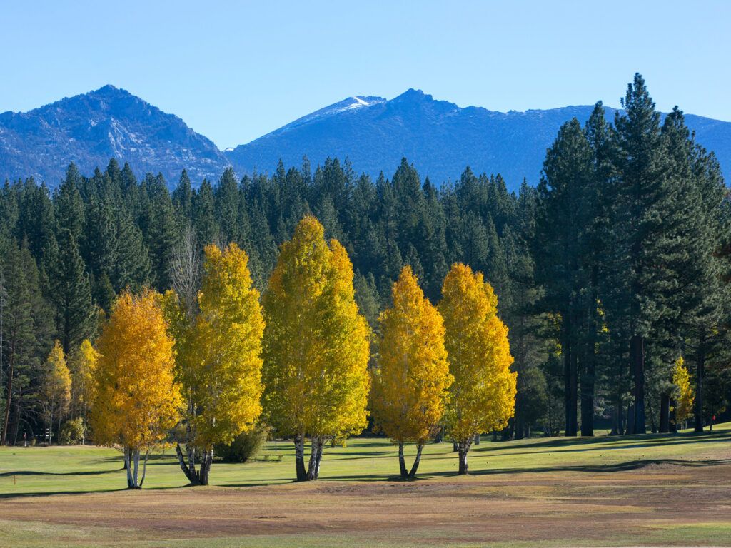 Autumn in South Lake Tahoe, California