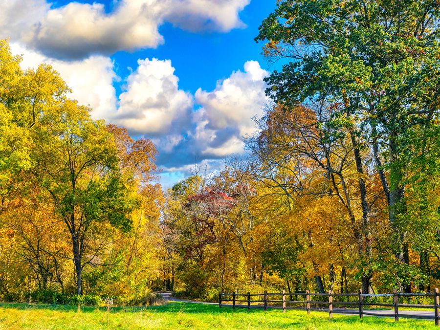 The Top U.S. Fall Foliage Destinations in 2026