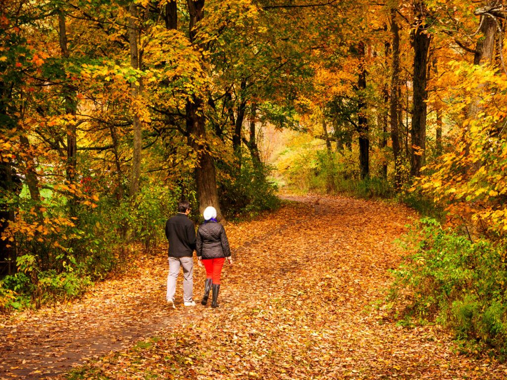 Couple walking through the woods in Vermont