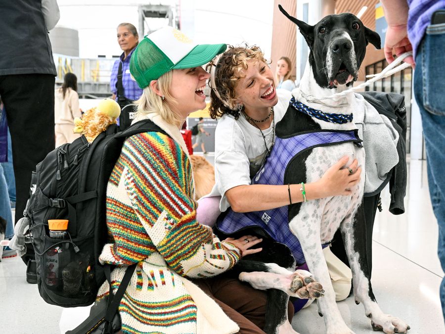 6 Amazing Airport Amenities Around the World