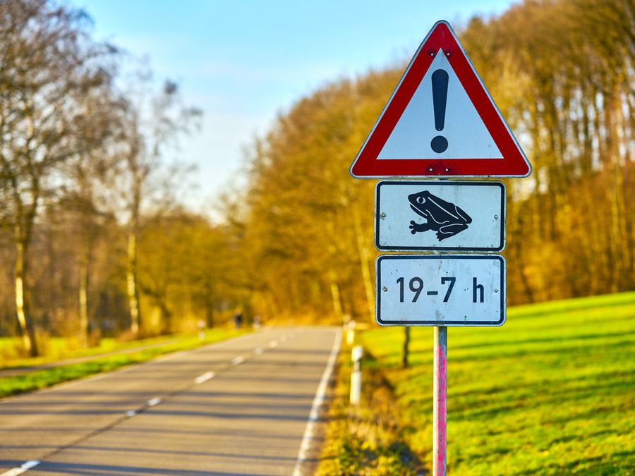 Caution sign for frogs on the road