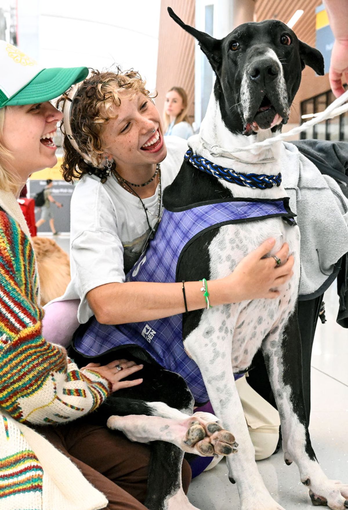 Banner Image