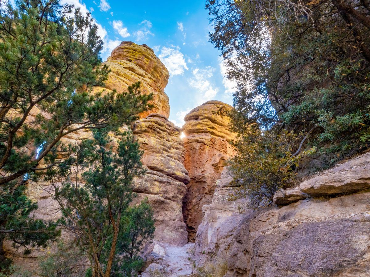 Landscape of Chiricahua National Park