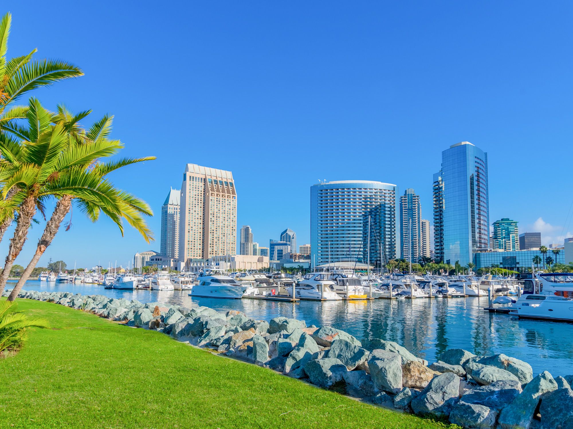 Park with view of marina and San Diego skyscrapers