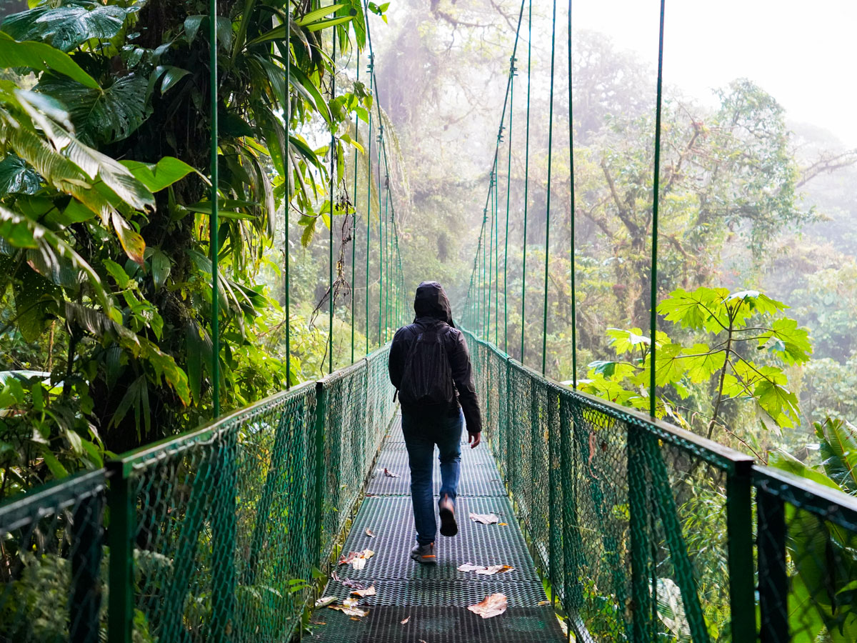 Man crossing a hanging bridge in a cloud forest in La Fortuna, Costa Rica